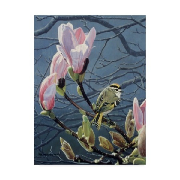 Trademark Fine Art Ron Parker 'Kinglet And Magnolia' Canvas Art, 18x24 ALI32620-C1824GG